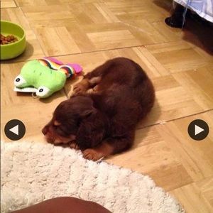 Meet your Posher, Danielle